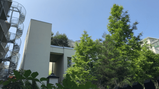 Naturban i Centrala Nacka tacklar flera utmaningar