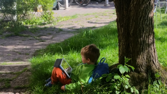 Trädplantering